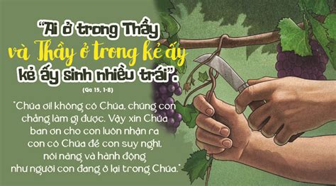 Chúa là cây nho, con là cành nho… – Dòng Đức Bà