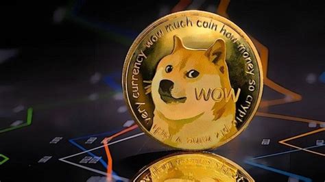 What Are the Best 5 Dogecoin Mining Pools? 2024 Guide - Demotix.com