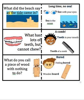 Homonym Homophone Word Jokes By Ldyditto Tpt