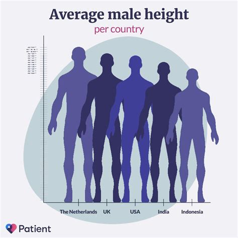 Fixed Height Comparison That Was Posted Earlier Rmildlyinfuriating