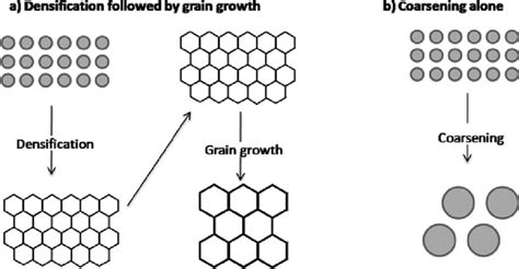 Pictorial Presentation Of Densification Grain Growth And