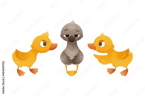 Goslings Teasing Duckling Ugly Duckling Fairy Tale Cartoon Vector