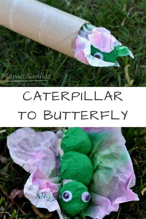 Caterpillar To Butterfly Craft And Recommended Books