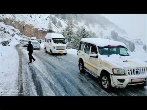 Zojila Update Heavy Snowfall Near Zojila Pass Zojilaupdate Youtube