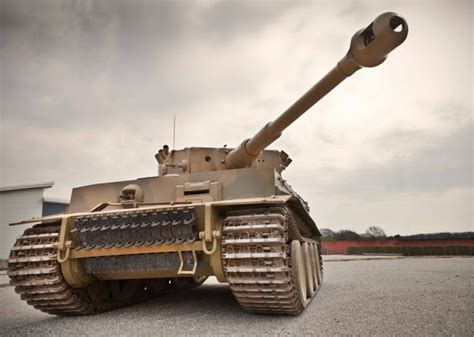 Your First Chance To See Tiger 131 In Action After Its Starring Role In