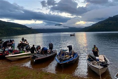 Projeto Rio Vivo Promove Soltura De Surubins Esp Cie Amea Ada De