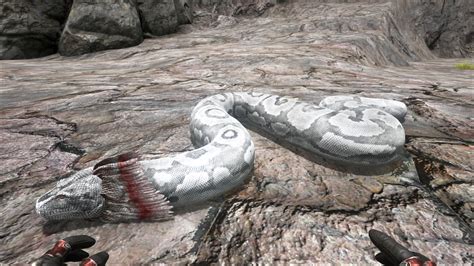 Titanoboa - Official ARK: Survival Evolved Wiki