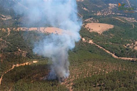 Declarado un incendio en los Montes de Toledo medios aéreos y