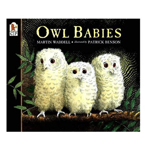 Owl Babies - Big Book