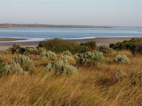 Coorong National Park Australien Blog