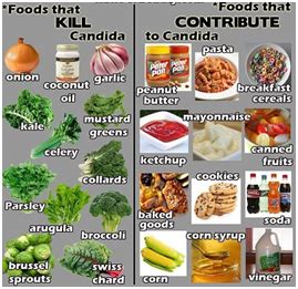 Candida Diet Simplified - Better Living