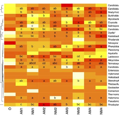 Heatmap And Accompanying Cluster Analysis X Axis Of The Relative