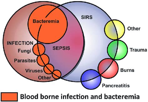 Relationships And Overlaps Between Bacteraemia Sepsis And Systemic Download Scientific Diagram