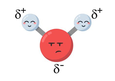 Water Molecule Animation