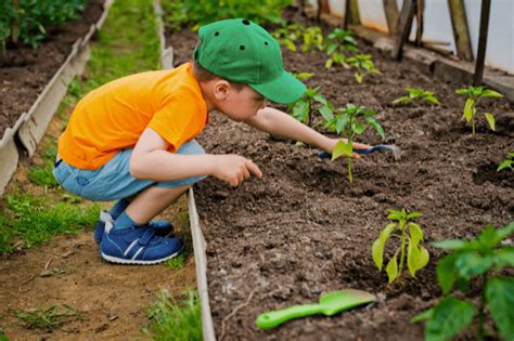 Kit Jardinage Pour Enfant Pourquoi Jardiner Avec Son Enfant Life