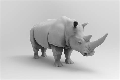 Rhinoceros Free 3D Models download - Free3D