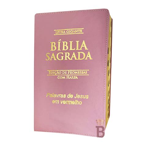 Biblia Sagrada Letra Gigante Luxo Popular Rosa Harpa RC