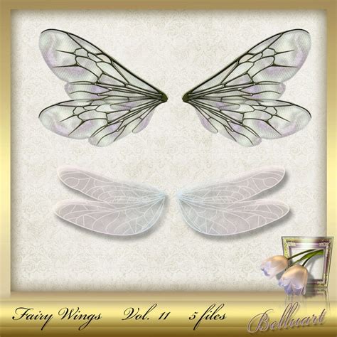 Fairy Wings Vol Overlays Foto Overlays Etsy