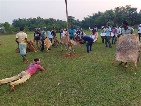 বাঁদনা পরব গোরু খুঁটান সূর্যকান্ত মাহাতো