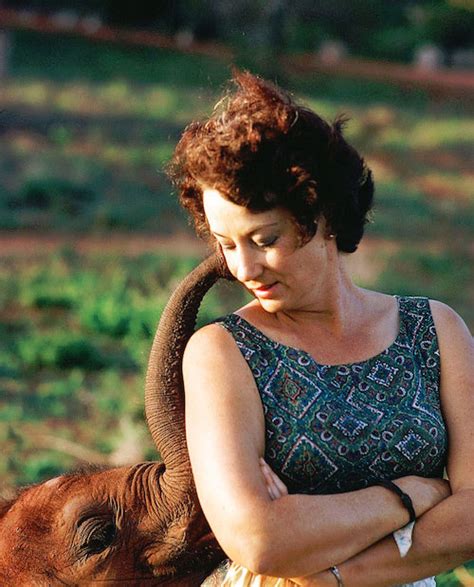 Honour Donations For Dame Daphne Sheldrick The David Sheldrick