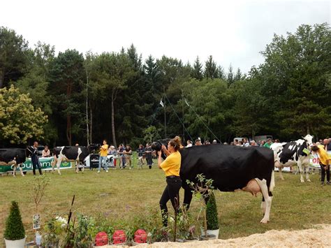 Album Photo Du Comice Agricole