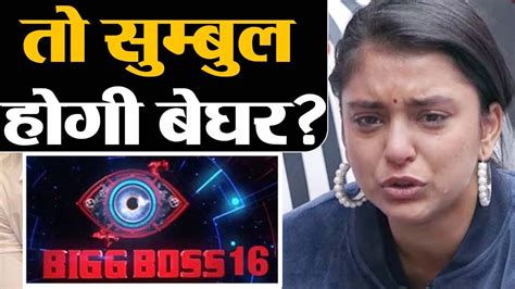 Bigg Boss 16 Voting Trend Sumbul हग बघर समबल क पप क अपल