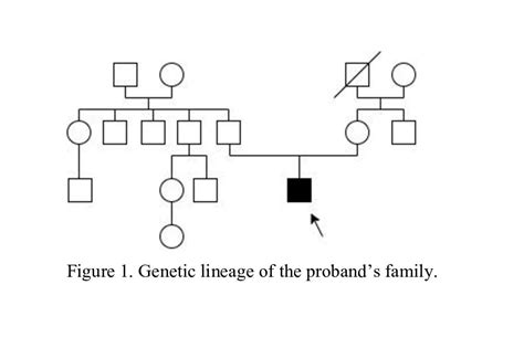 Diagnostic Approach To A Paediatric Patient With Wiedemann Steiner