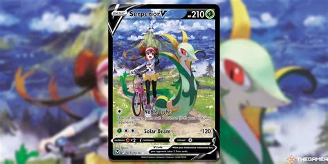 Pokemon TCG The 9 Best Trainer Gallery Art In Sword Shield Silver