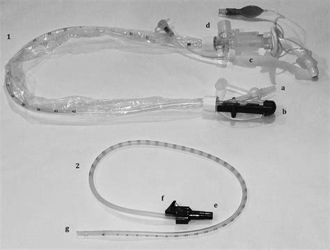 Tracheostomy Emergencies Relias Media