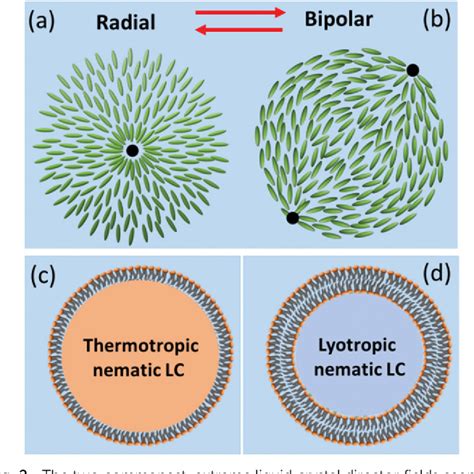 Figure From Production Of Giant Unilamellar Vesicles And