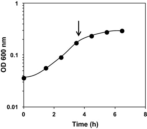 Representative Growth Curve Of P Furiosus Dsm At C In