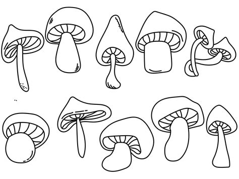 Outline Mushrooms Set Contour Cap Mushroom Of Various Shapes And Sizes