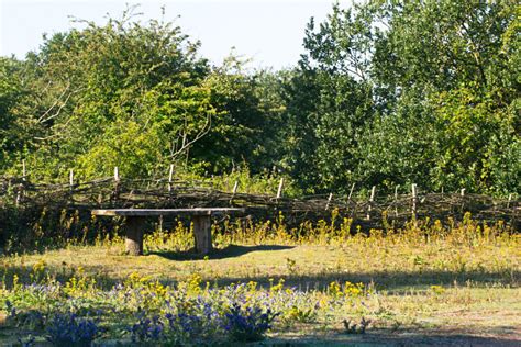 Paxton Pits Nature Reserve Visit St Neots