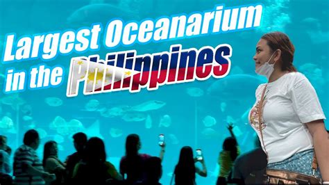 Largest Oceanarium In Philippines Cebu Ocean Park Youtube