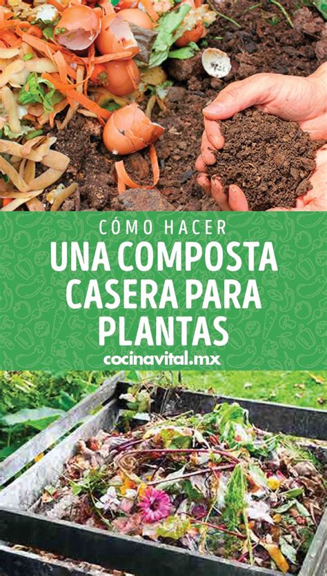 C Mo Hacer Una Composta Casera Para Plantas Cocina Vital Recetas