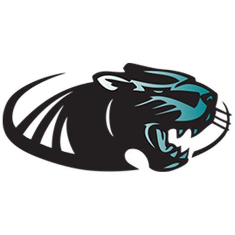 Bonney Lake Panthers: 2019 Washington high school 3A football preview ...