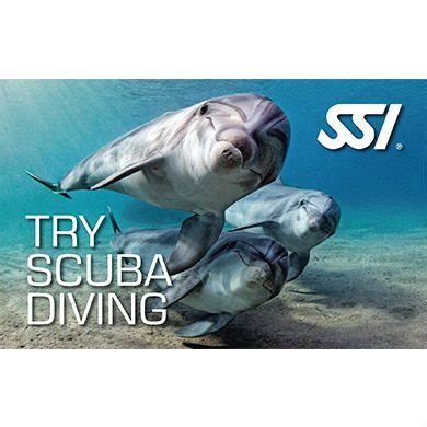 Try Scuba Diving Scuba Diving Training Aqualogistics Manchester