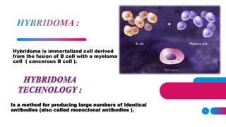 Hybridoma Technology Ppt