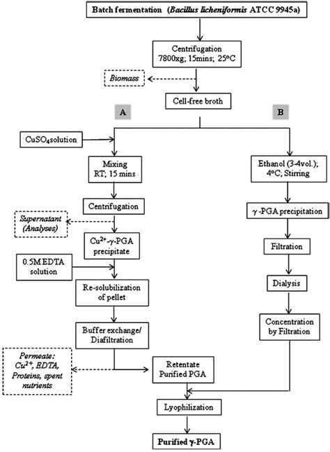 Bioprocess flow diagram showing the recovery and purification of... | Download Scientific Diagram