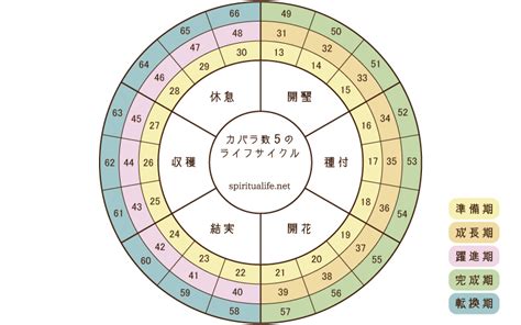 運命数5のライフサイクル 無料占いスピリチュアライフ