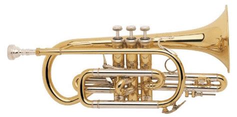 The 8 Types Of Brass Instruments You Should Know About