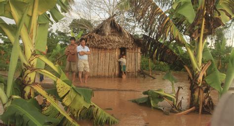 Gobierno Reporta Más De 15 000 Hectáreas Afectadas Por Las Inundaciones