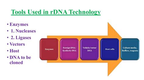 Recombinant Dna Technology And Gene Therapy Ppt