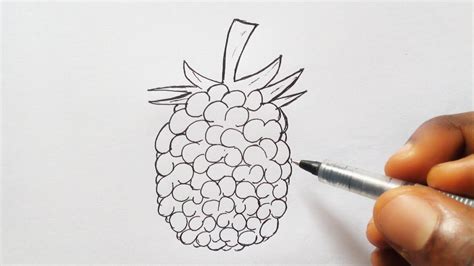 How To Draw Blackberry Easy YouTube