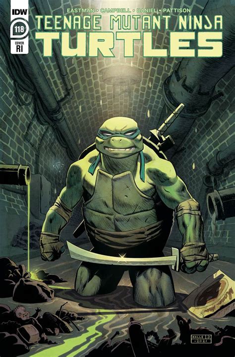 Teenage Mutant Ninja Turtles Vol Cover C Incentive Karl Johnsson