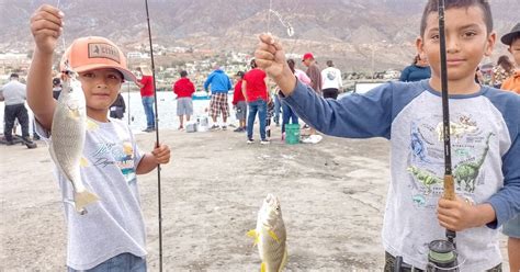 Inculcan Modalidad Del Catch And Release A Sangre Nueva En Baja