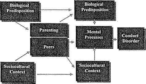 Figure 1 From A Biopsychosocial Model Of The Development Of Chronic