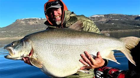 Angler Catches World Record Class Lake Trout Wired2fish