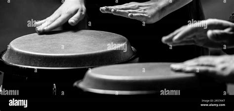 Close Up Of Musician Hand Playing Bongos Drums The Musician Plays The