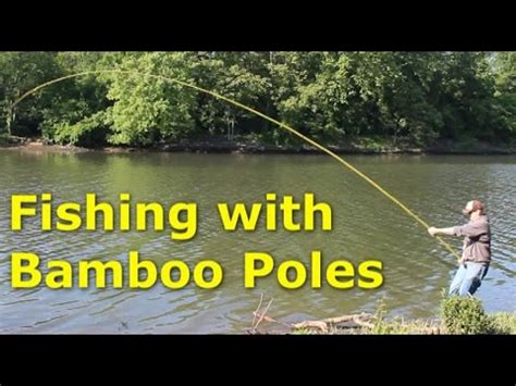 haze module Strict bamboo fishing pole spontaneous Viewer Ideally